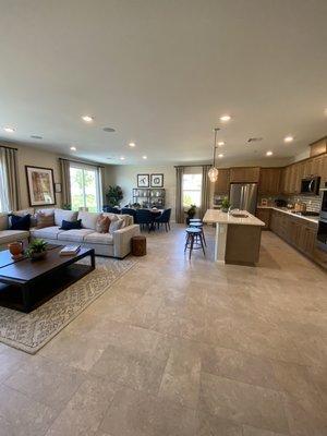 Large Open Concept