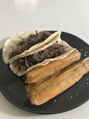 Tamales and barbacoa tacos