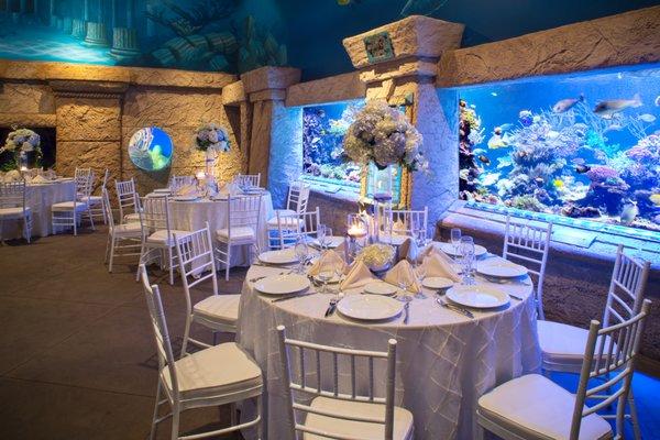 Social Event dinner set up in the Long Island Aquarium.