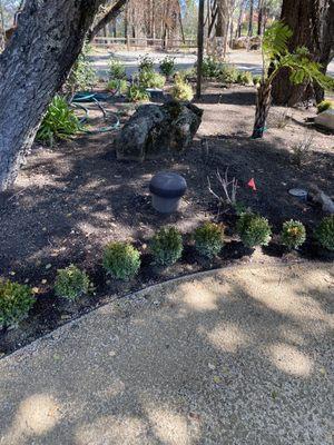 In ground Omni speaker Inwall installed by Napa Valley Stereo Rick