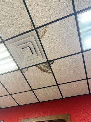 there is mold growing in the ceiling tiles, this is a health code violation.