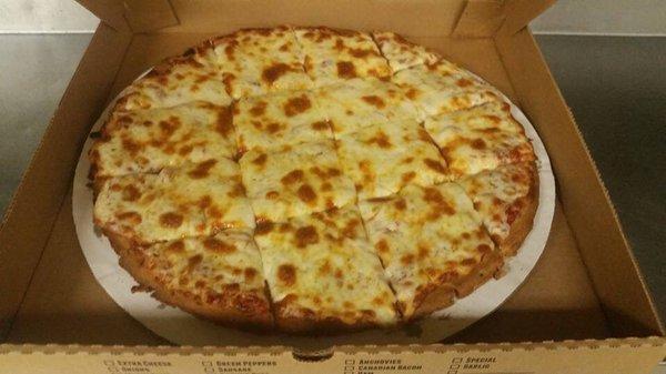 A delicious cheesy pizza!