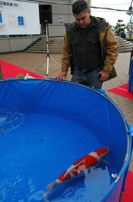 Picking out Koi in Japan.