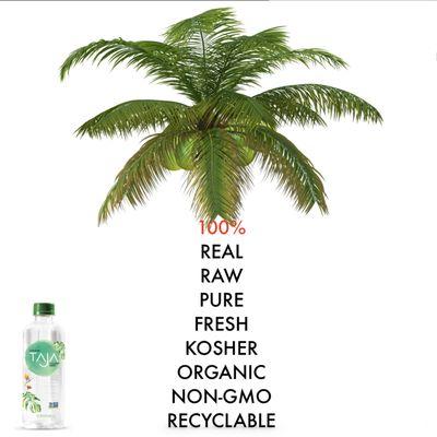 TAJA Pure Coconut Water