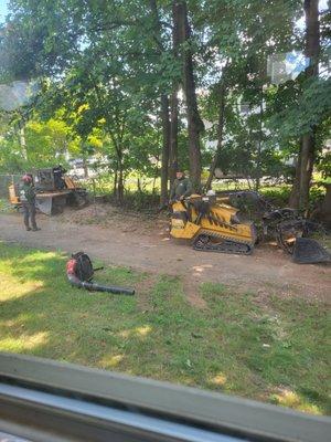 Removed 2 trees and grinded a stump down. The gentlemen are very easy to work with and are thorough. I will use them again.