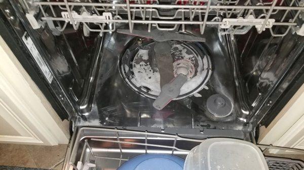 Dishwasher is empty of water after full run cycle