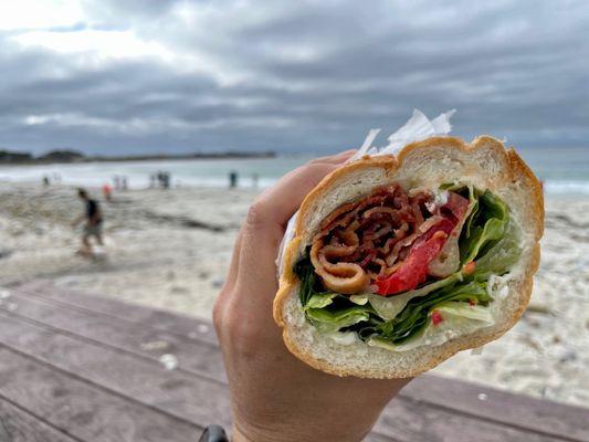 BLT  by the ocean