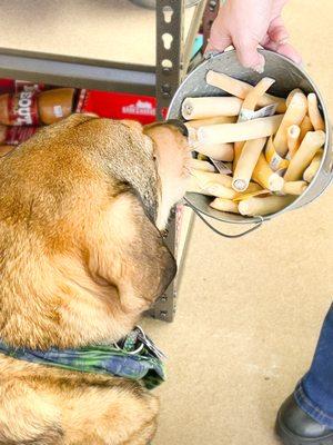 Doggies are highly encouraged to sniff around at our "Raw Bar" of rawhide alternatives chews that don't splinter & keep your pup entertained