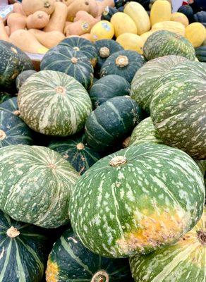 Kabocha squash