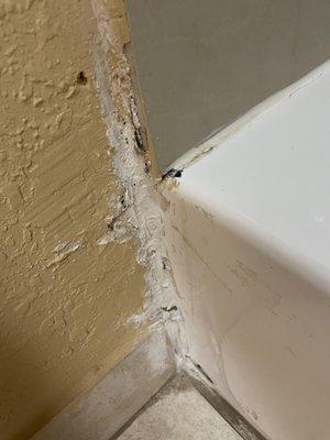 Moldy walls with holes