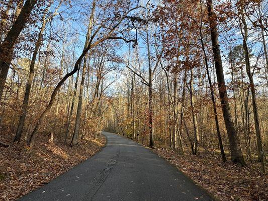 Kings Mountain State Park