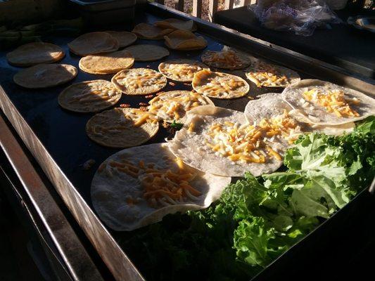 grilled quesadillas, corn tortillas with cheese to make mulitas