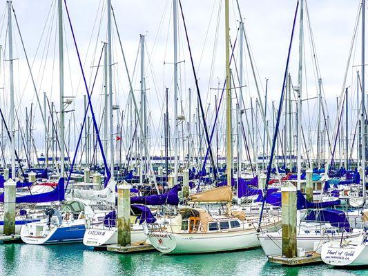 Sailboats at South Beach Harbor