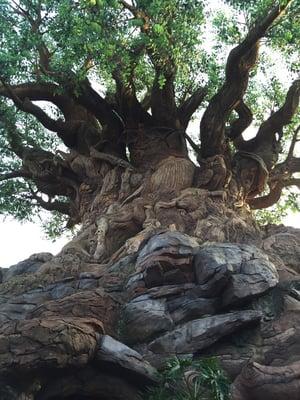 Tree of life!