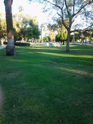 Founders Park At Sunset