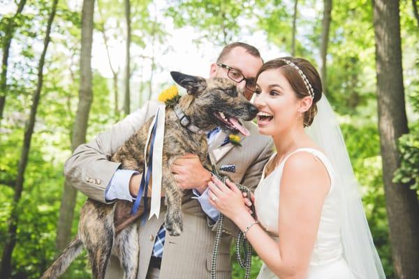 dogs at weddings are Perfect! Beautiful Philadelphia wedding at Pomme. BG Productions Photography and Videography. www.bgproonline.com