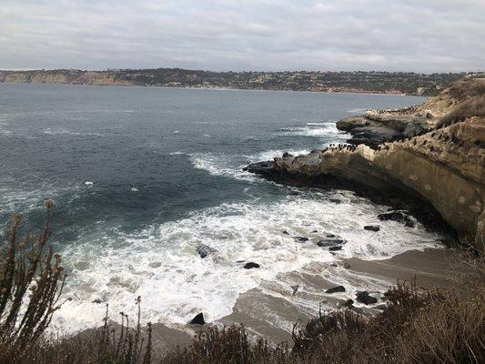 The Cove at La Jolla