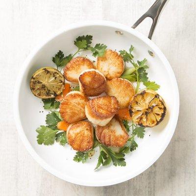 Scallops