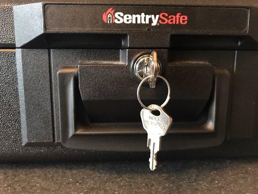 Sentry 1100 series safe