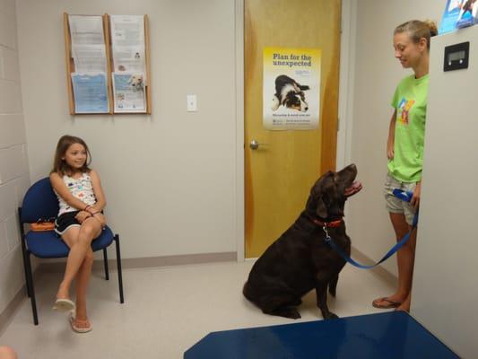 Canine exam room