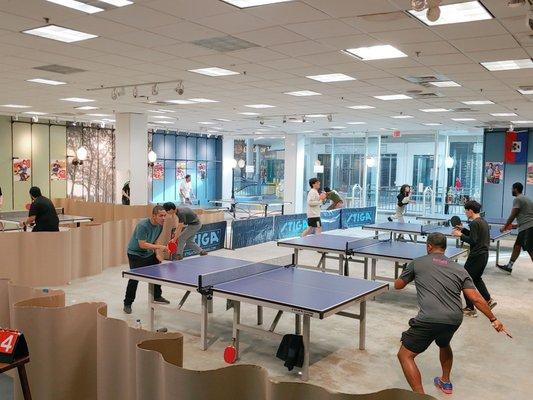 Savannah Table Tennis Club