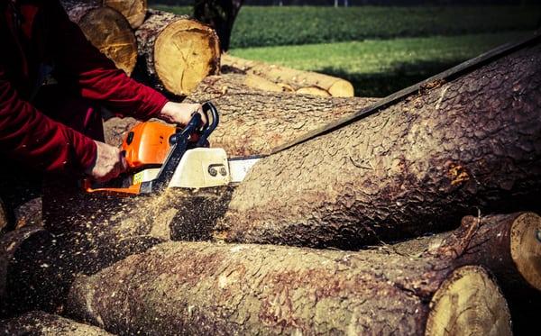 At Perfect Landscape Tree Care & Excavation, there is no job too large or too small.