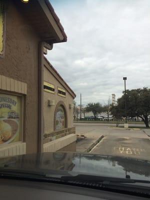 Drive thru view of forest