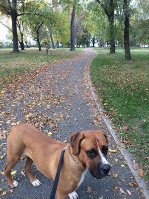 Nature trails Lincoln Park JC