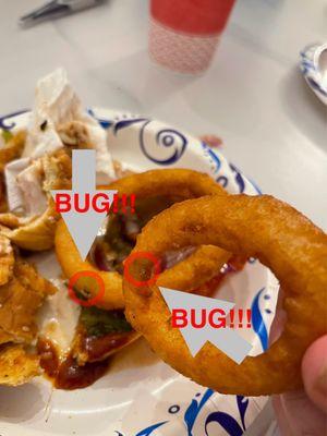 Multiple bugs on onion rings