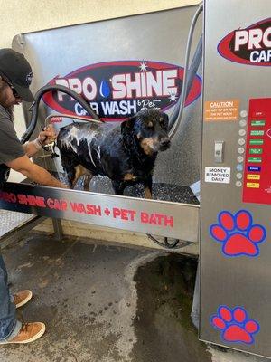 Dog wash