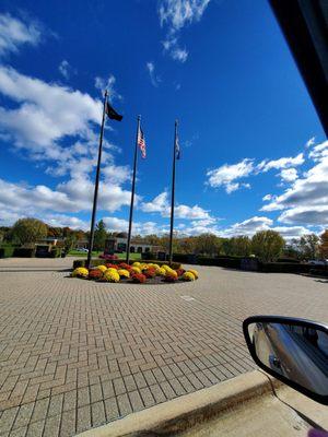 There's a line to drop off Absentee Voter's Ballot while I capture a photo of Beautiful Chrysanthemum plants.  10/18/2024