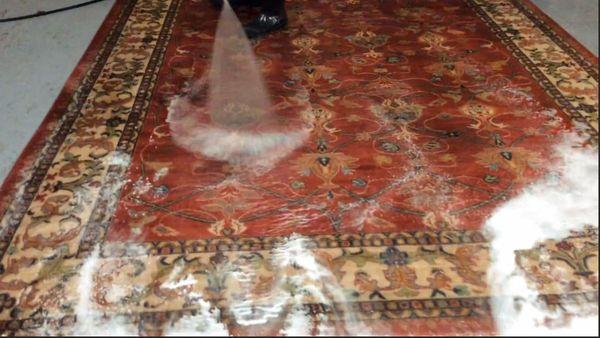 Oriental rug washing