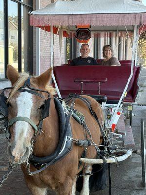 Southern Carriage Tours