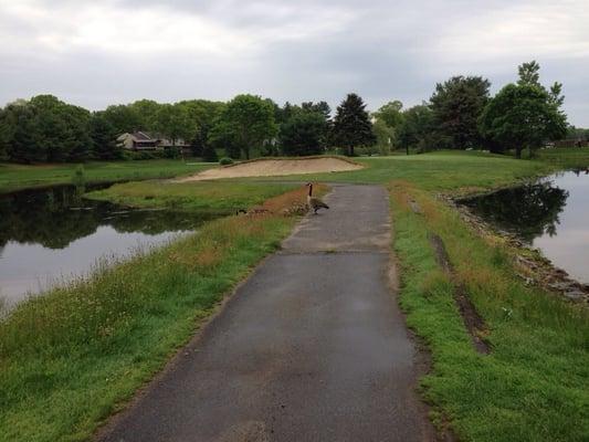 15th hole island green