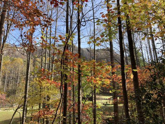 Scenery looking toward the mountain