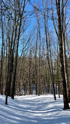 Frozen Fruitlands