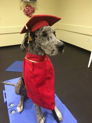 Hank graduates from Level 1!