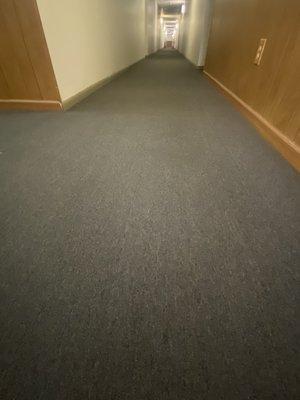 Carpet on a commercial property looking brand new