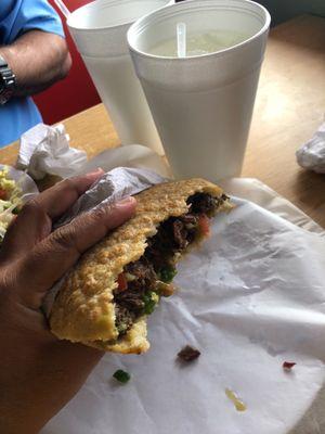 Gordita, the largest I've ever seen & delicious