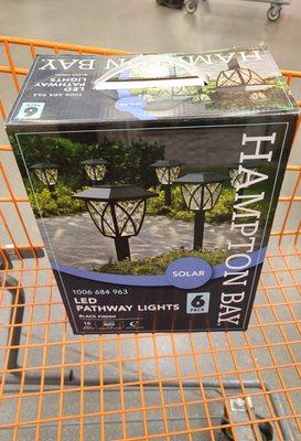 Solar LED Pathway Lights $19.88   03-20-2022