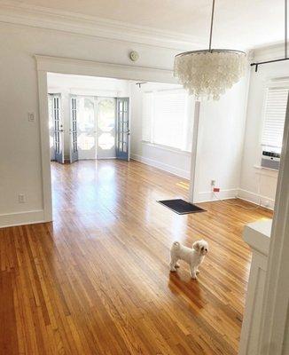 Dining room being inspected by our pup