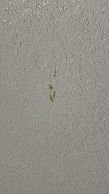 Stains on ceiling