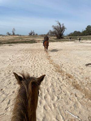 Riding in the beach, w the guide leading the way.