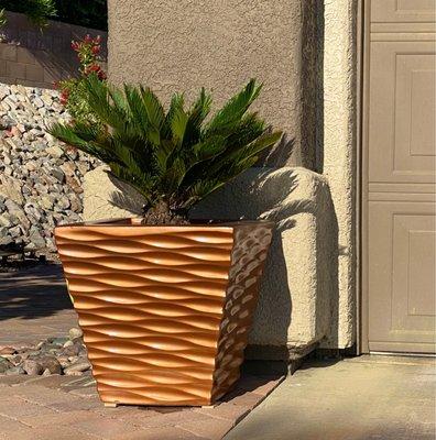 Concrete planter. Originally white and painted metallic copper per Jessica's recommendation.