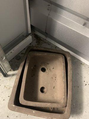 Mouse  poop in my storage units