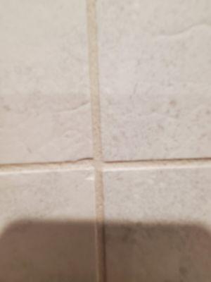 Raggedy tile saw blade chipped, nicked and dinged tiles.  Yet they installed them anyway.