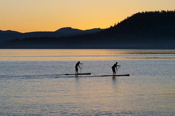 Paddleboards on our water