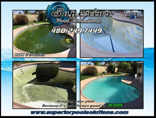 Green pool we had to drain due to high amount of mosquito larva. After the acid wash it was good as new.