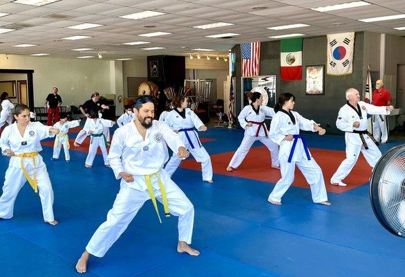 Taekwondo & Tang Soo Do classes at New Dojang (martial arts training school)