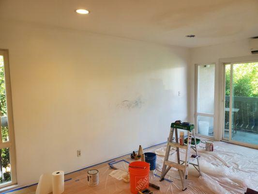 Ceiling And Wall touch ups..